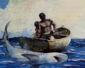 Shark Fishing - 温斯洛·荷默